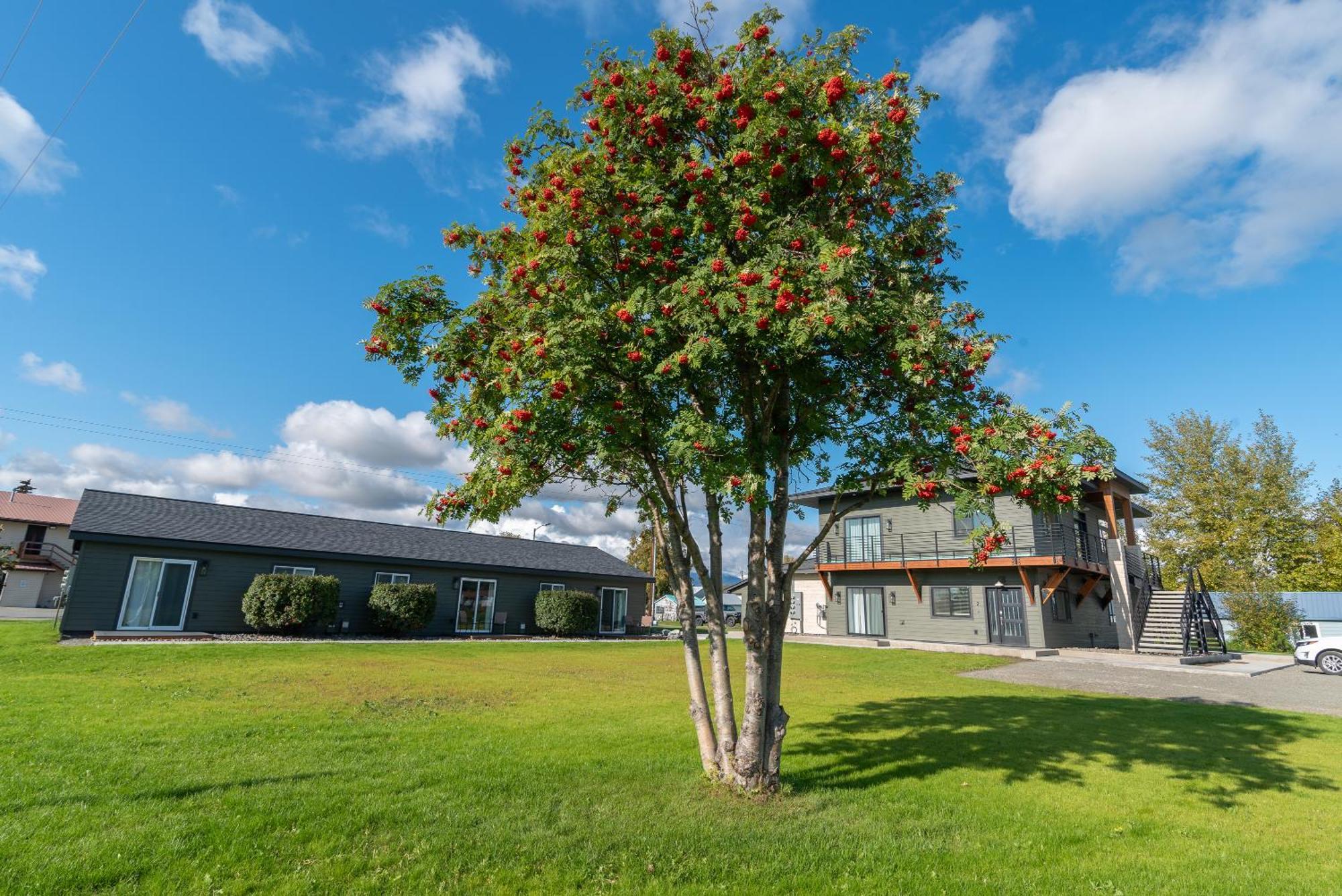 Colony Suites Palmer Eksteriør bilde
